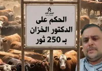 Palestine requests 250 bulls from Yemen