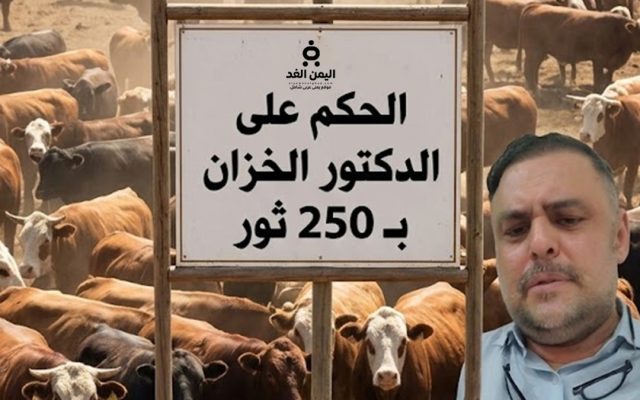 سابقة قبلية تثير الجدل: تفاصيل الحكم على الدكتور ماجد الخزان بـ 250 ثوراً وإغلاق عيادته بصنعاء