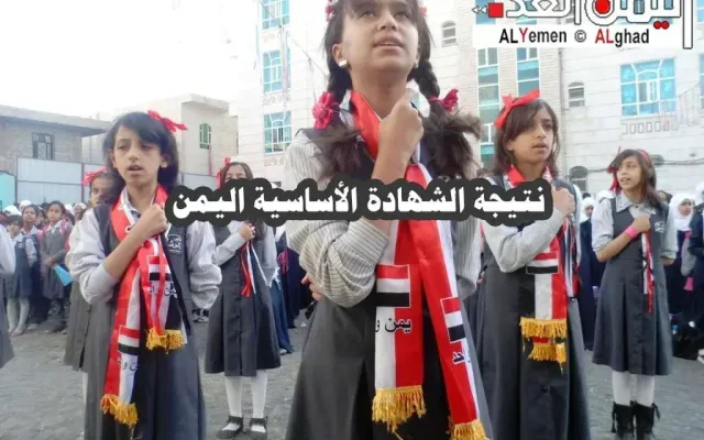 نتائج الصف التاسع 2026 في اليمن.. رابط الاستعلام الرسمي للشهادة الأساسية